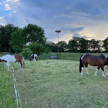 公寓 Ferienhof Buehne *