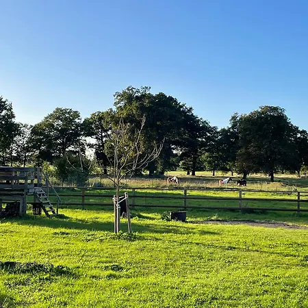 公寓 Ferienhof Buehne Buehne