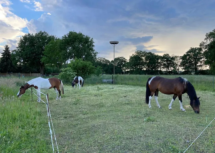 Апартаменты Ferienhof Buehne *