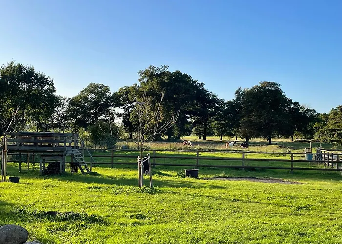 Апартаменты Ferienhof Buehne Buehne